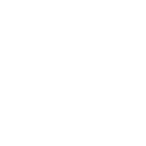 logo footer